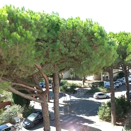 Apartment En Centre A 2min De La *